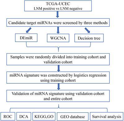 Identification of a MicroRNA Signature Associated With Lymph Node Metastasis in Endometrial Endometrioid Cancer